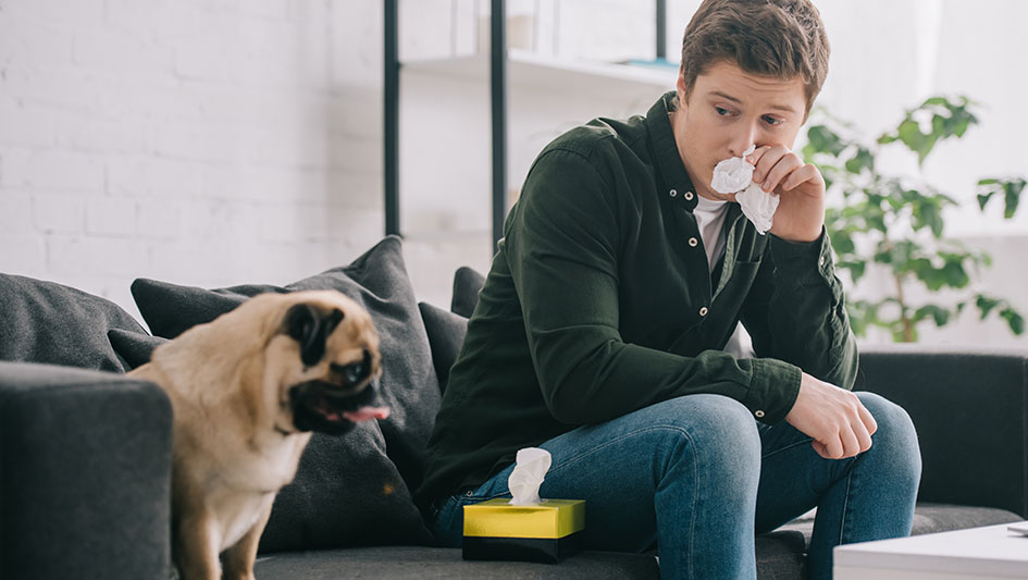 Purchasing an air purifier is one of the wisest approaches to boost your house’s indoor air quality. Learn more about the three smartest solutions. 